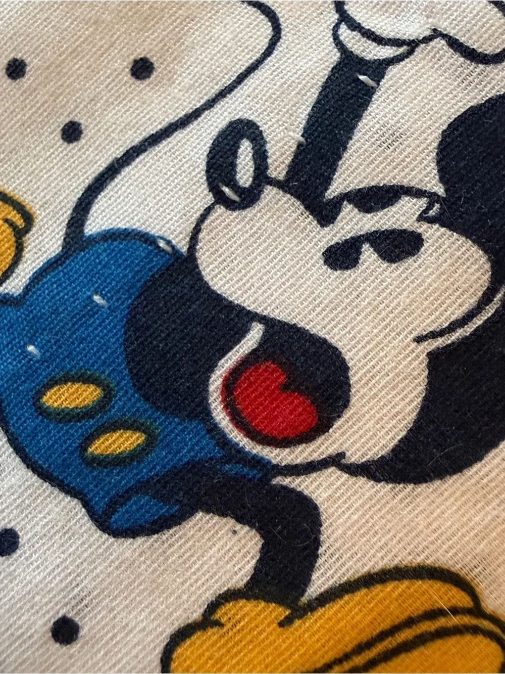90’s Disney Kids Valance - 2 Pieces
